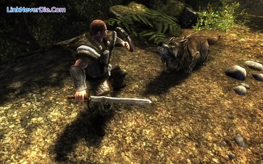 Hình ảnh trong game Risen (screenshot)