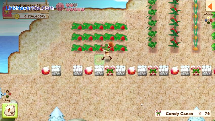 Hình ảnh trong game Harvest Moon: Light of Hope (screenshot)