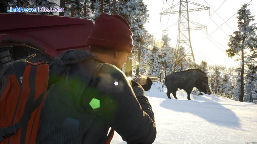 Hình ảnh trong game SCUM (screenshot)