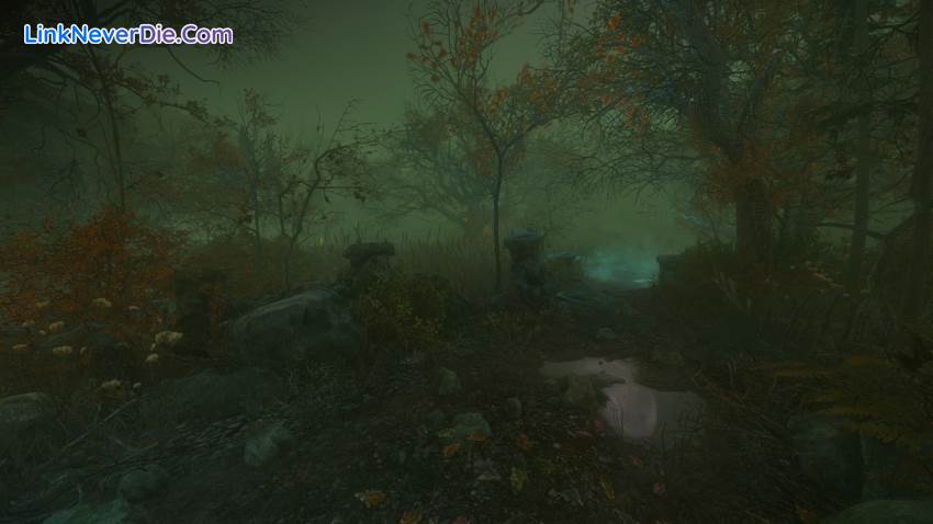 Hình ảnh trong game The Cursed Forest (screenshot)