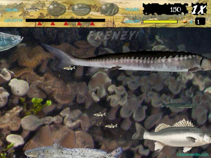 Hình ảnh trong game Feeding Frenzy - The water China (screenshot)