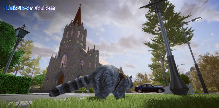 Hình ảnh trong game Wanted Raccoon (screenshot)