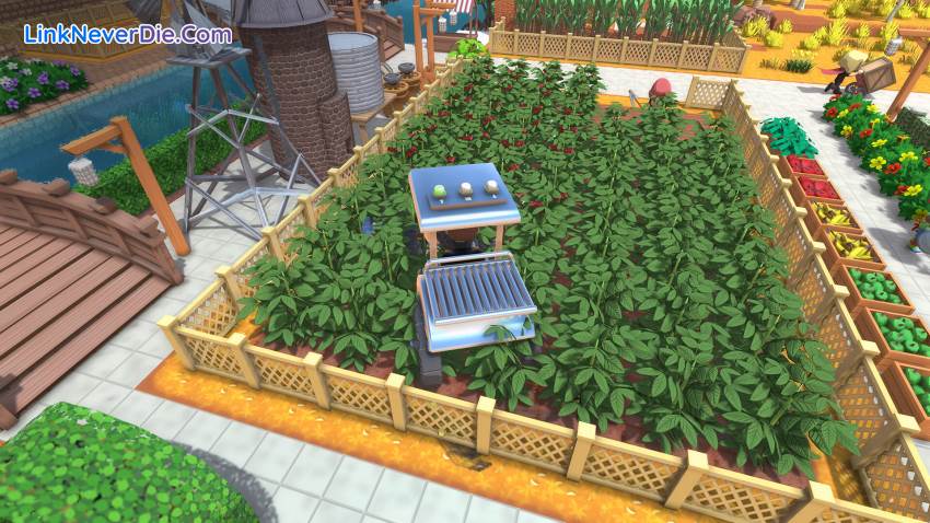 Hình ảnh trong game Dinkum (screenshot)