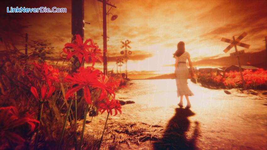 Hình ảnh trong game Hollow Cocoon (screenshot)