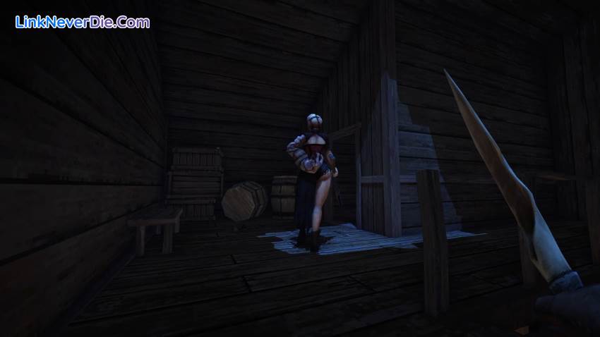 Hình ảnh trong game Blood West (screenshot)
