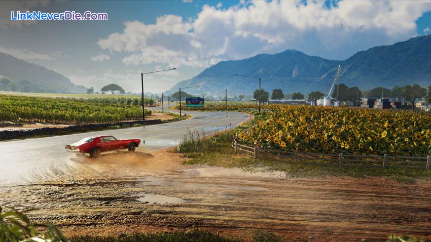 Hình ảnh trong game The Crew Motorfest (screenshot)