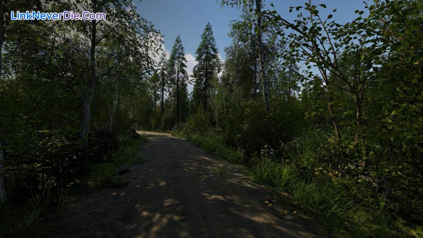 Hình ảnh trong game Finnish Cottage Simulator (screenshot)