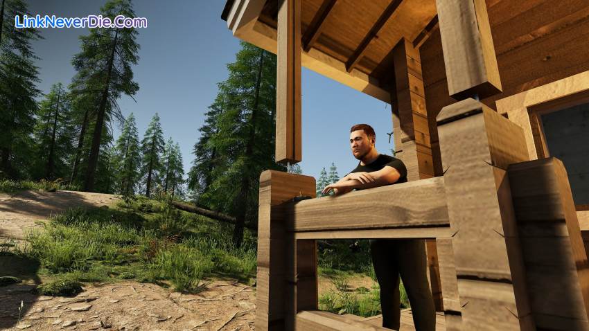Hình ảnh trong game Finnish Cottage Simulator (screenshot)