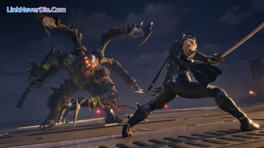 Hình ảnh trong game NINJA GAIDEN 2 Black (screenshot)