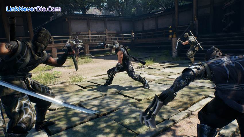 Hình ảnh trong game NINJA GAIDEN 2 Black (screenshot)