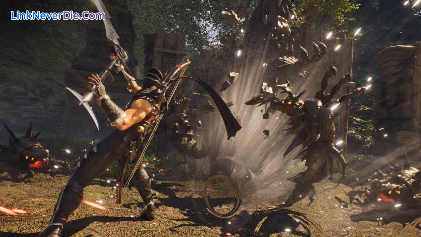 Hình ảnh trong game NINJA GAIDEN 2 Black (screenshot)