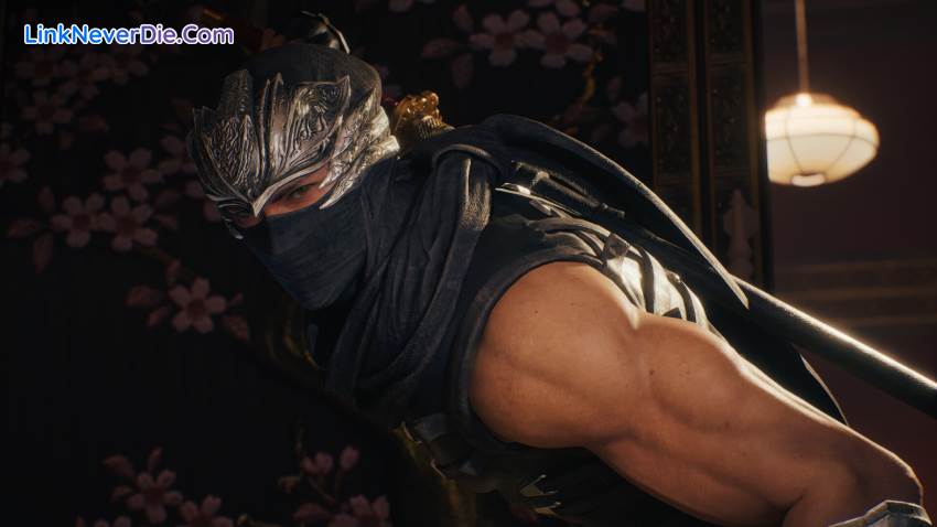 Hình ảnh trong game NINJA GAIDEN 2 Black (screenshot)