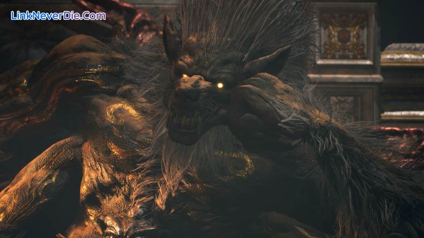 Hình ảnh trong game NINJA GAIDEN 2 Black (screenshot)