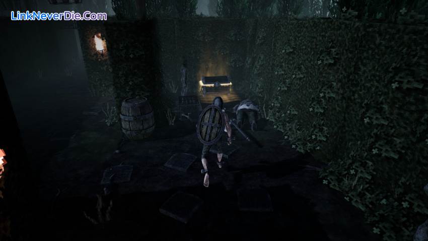 Hình ảnh trong game Tyrant's Realm (screenshot)