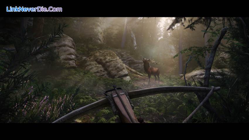 Hình ảnh trong game Kingdom Come: Deliverance II (screenshot)