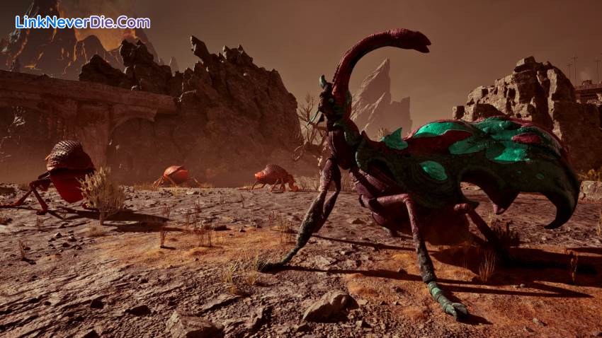 Hình ảnh trong game Avowed (screenshot)