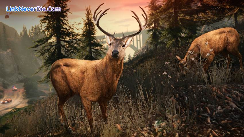 Hình ảnh trong game Grand Theft Auto V Enhanced (screenshot)