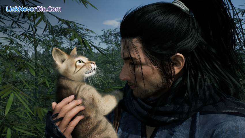 Hình ảnh trong game Rise of the Ronin (screenshot)