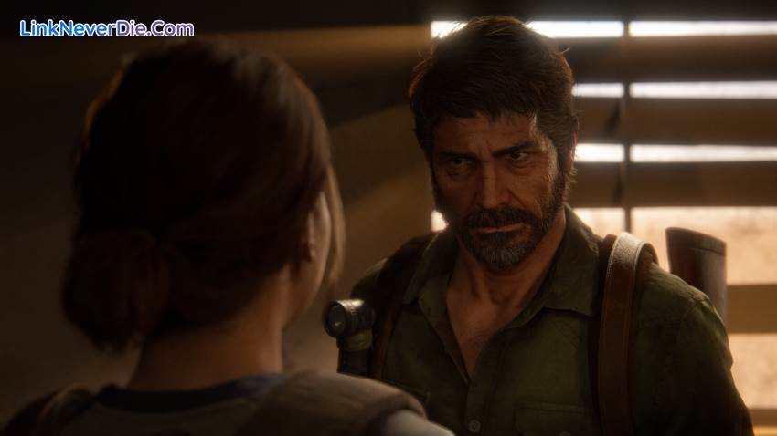 Hình ảnh trong game The Last of Us Part II Remastered (screenshot)