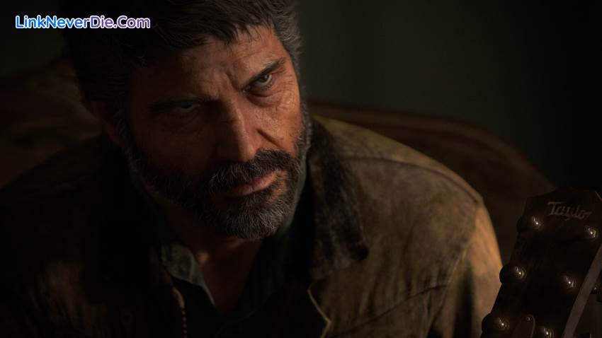 Hình ảnh trong game The Last of Us Part II Remastered (screenshot)