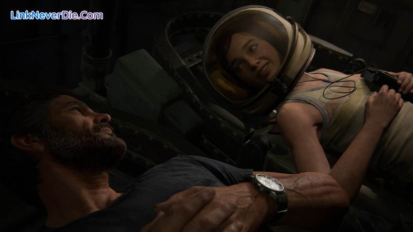 Hình ảnh trong game The Last of Us Part II Remastered (screenshot)