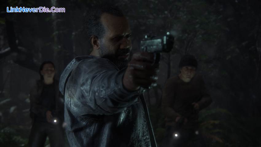 Hình ảnh trong game The Last of Us Part II Remastered (screenshot)