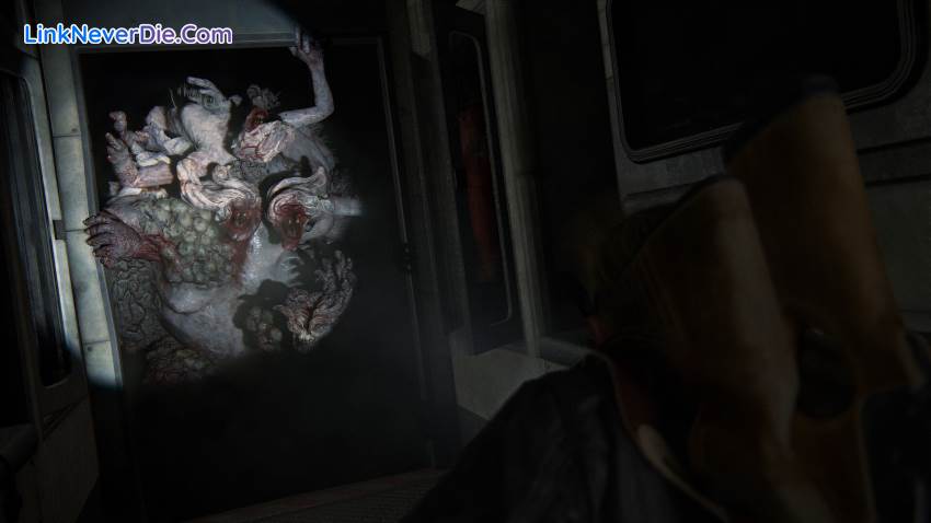 Hình ảnh trong game The Last of Us Part II Remastered (screenshot)