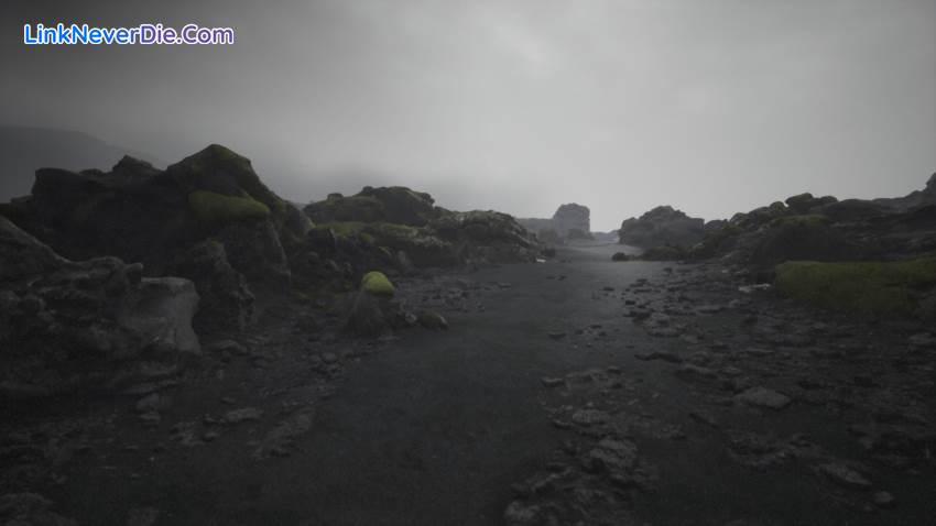 Hình ảnh trong game Lushfoil Photography Sim (screenshot)