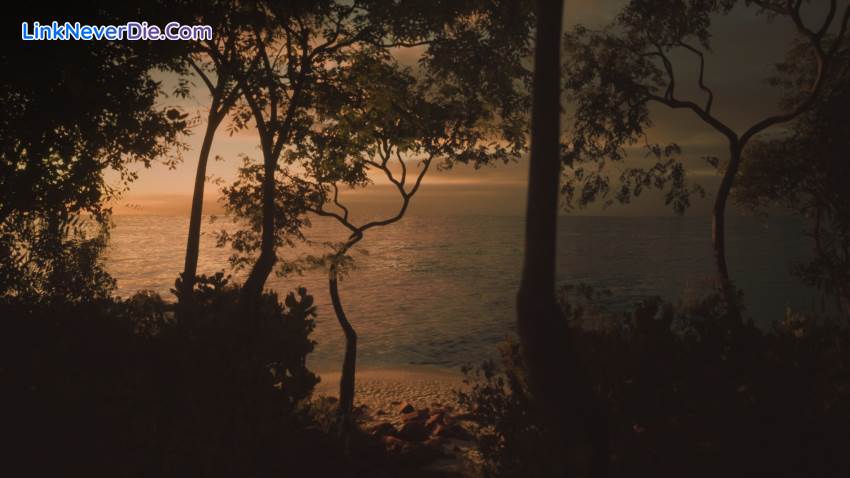 Hình ảnh trong game Lushfoil Photography Sim (screenshot)