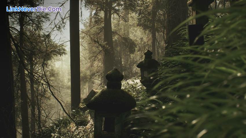 Hình ảnh trong game Lushfoil Photography Sim (screenshot)