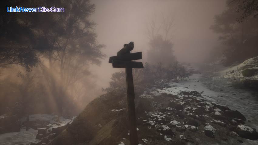 Hình ảnh trong game Lushfoil Photography Sim (screenshot)