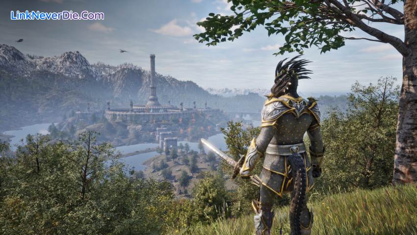 Hình ảnh trong game The Elder Scrolls IV: Oblivion Remastered (screenshot)