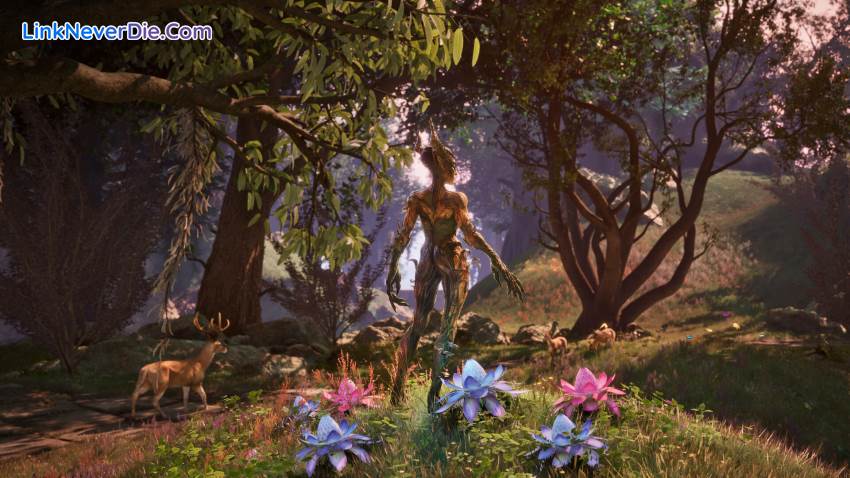 Hình ảnh trong game The Elder Scrolls IV: Oblivion Remastered (screenshot)