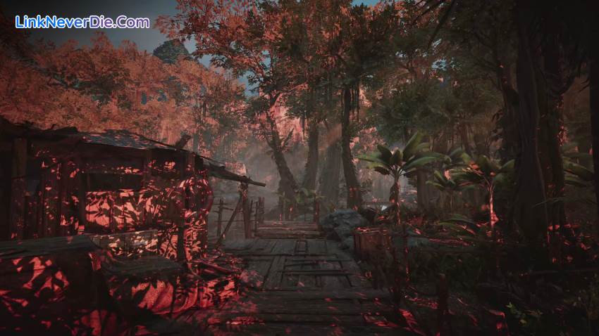 Hình ảnh trong game Amerzone - The Explorer's Legacy (screenshot)