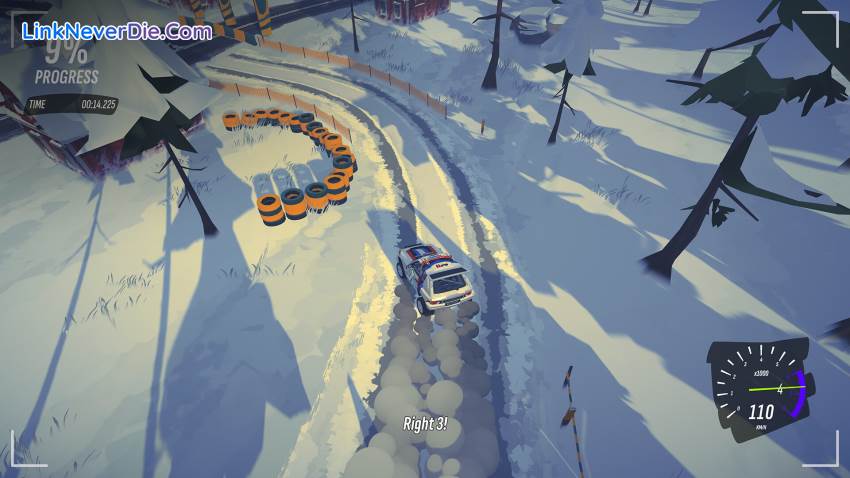 Hình ảnh trong game #DRIVE Rally (screenshot)