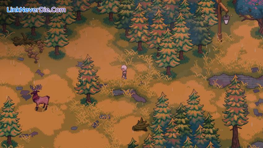 Hình ảnh trong game Chef RPG (screenshot)