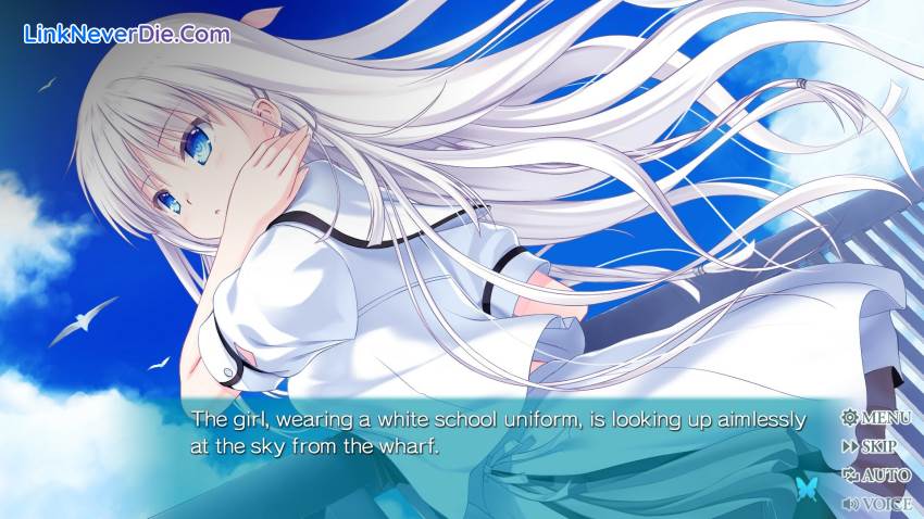 Hình ảnh trong game Summer Pockets REFLECTION BLUE (screenshot)