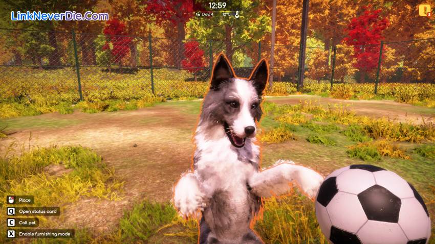 Hình ảnh trong game Animal Shelter 2 (screenshot)