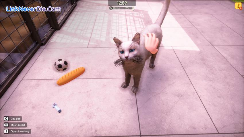 Hình ảnh trong game Animal Shelter 2 (screenshot)