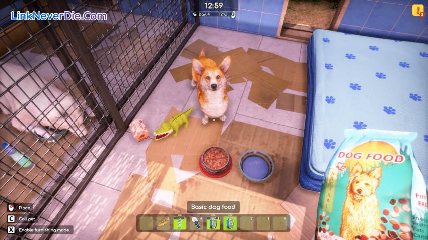 Hình ảnh trong game Animal Shelter 2 (screenshot)