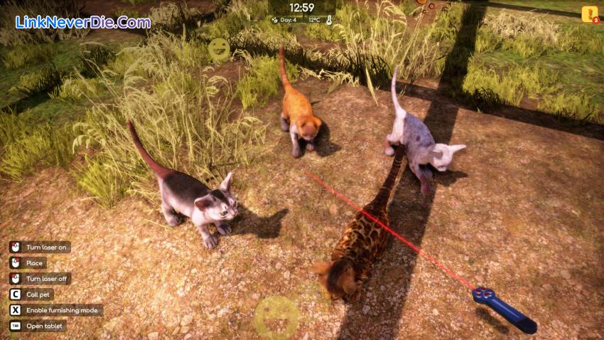 Hình ảnh trong game Animal Shelter 2 (screenshot)