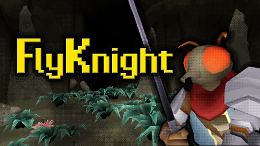 FlyKnight cover